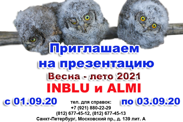 презентация.jpg