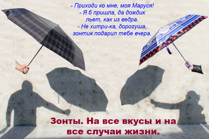 зонты.jpg